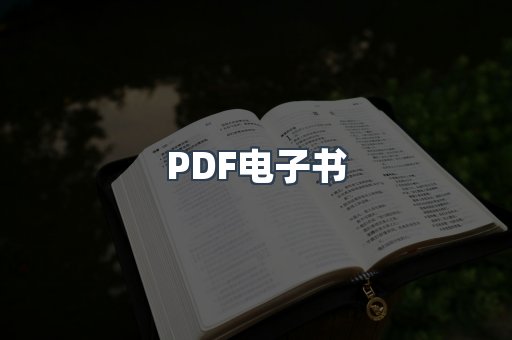 PDF电子书